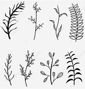 Image result for Leaf Line Art Aesthetic