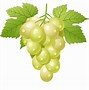 Image result for Sour Grapes Cartoon