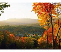 Image result for Fall in CT