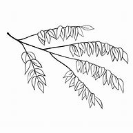 Image result for Vector Tree Branch Coloring