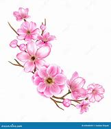 Image result for Cherry Blossom Branch Illustration