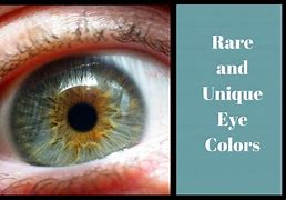 Image result for Color Human Green Eyes