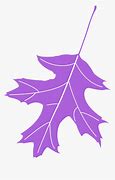 Image result for Oak Leaf Sketch