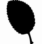 Image result for Aspen Leaf Silhouette