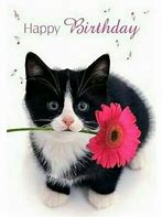 Image result for Happy Birthday Cat Images. Free