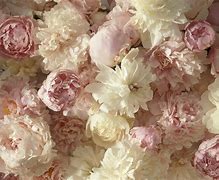 Image result for Blue Peonies Clip Art