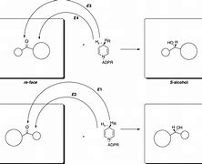 Image result for Nad+ Reduction Hydride Transfer