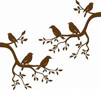 Image result for Birds On Tree Branches