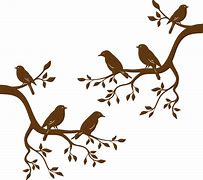 Image result for Birds On Branches