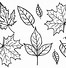 Image result for Coloring Picture of Leaf