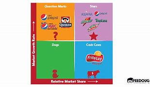 Image result for BCG Matrix Examples