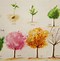 Image result for Apple Tree Life Cycle