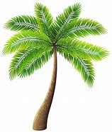 Image result for Caribbean Palm Trees Clip Art