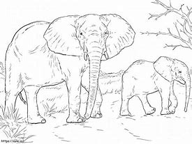 Image result for African Elephant Coloring