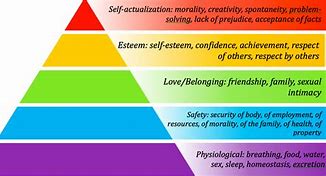 Image result for Dr. Abraham Maslow