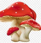 Image result for Red and White Mushroom Clip Art