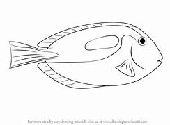 Image result for Blue Tang Fish Coloring Pages