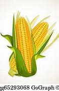 Image result for Cute Corn Clip Art