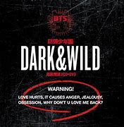 Image result for BTS Dark and Wild Album Cover