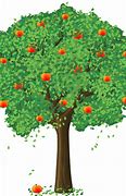 Image result for Apple Tree Images. Free