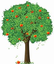 Image result for Apple Tree Clip Art