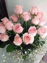 Image result for Baby Rose Flower