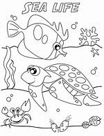 Image result for Free Sea Life Coloring Pages