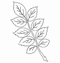 Image result for Rose Leaf Template Printable