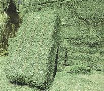 Image result for Alfalfa Hay Bales