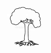 Image result for Pretty Tree with White Background