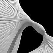 Image result for Blender Generative Organic Art