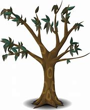 Image result for Tree Branch Cartoon Image