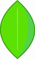 Image result for Leafy Green Icon