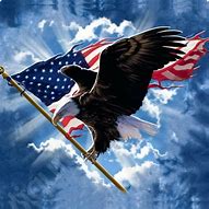 Image result for Patriotic Eagle American Flag