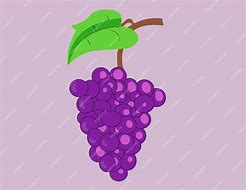 Image result for Leaf Flat Design