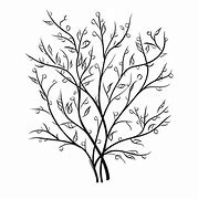 Image result for Large Tree with Branches