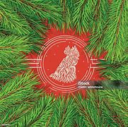 Image result for Vector Pine Tree Forest