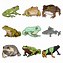 Image result for Frog ClipArt Clker