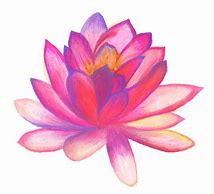 Image result for Flower Bouquett Drawing