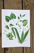 Image result for Acrylic Leaf Painting