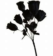 Image result for Dead Flower Clip Art