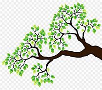 Image result for Tree with a Low Branch Cartoon