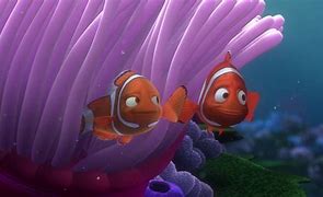 Image result for Fish Tank in Finding Nemo