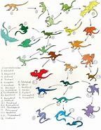 Image result for Dragon Pics Type