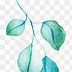 Image result for Individual Watercolor Leaf