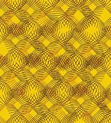 Image result for Abstract Lines Colors