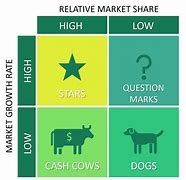 Image result for BCG Matrix Examples