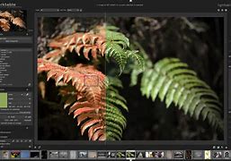 Image result for Photo Editing On Adobe Photoshop