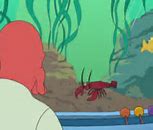 Image result for Funny Lobster