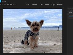 Image result for Multiple User Icon